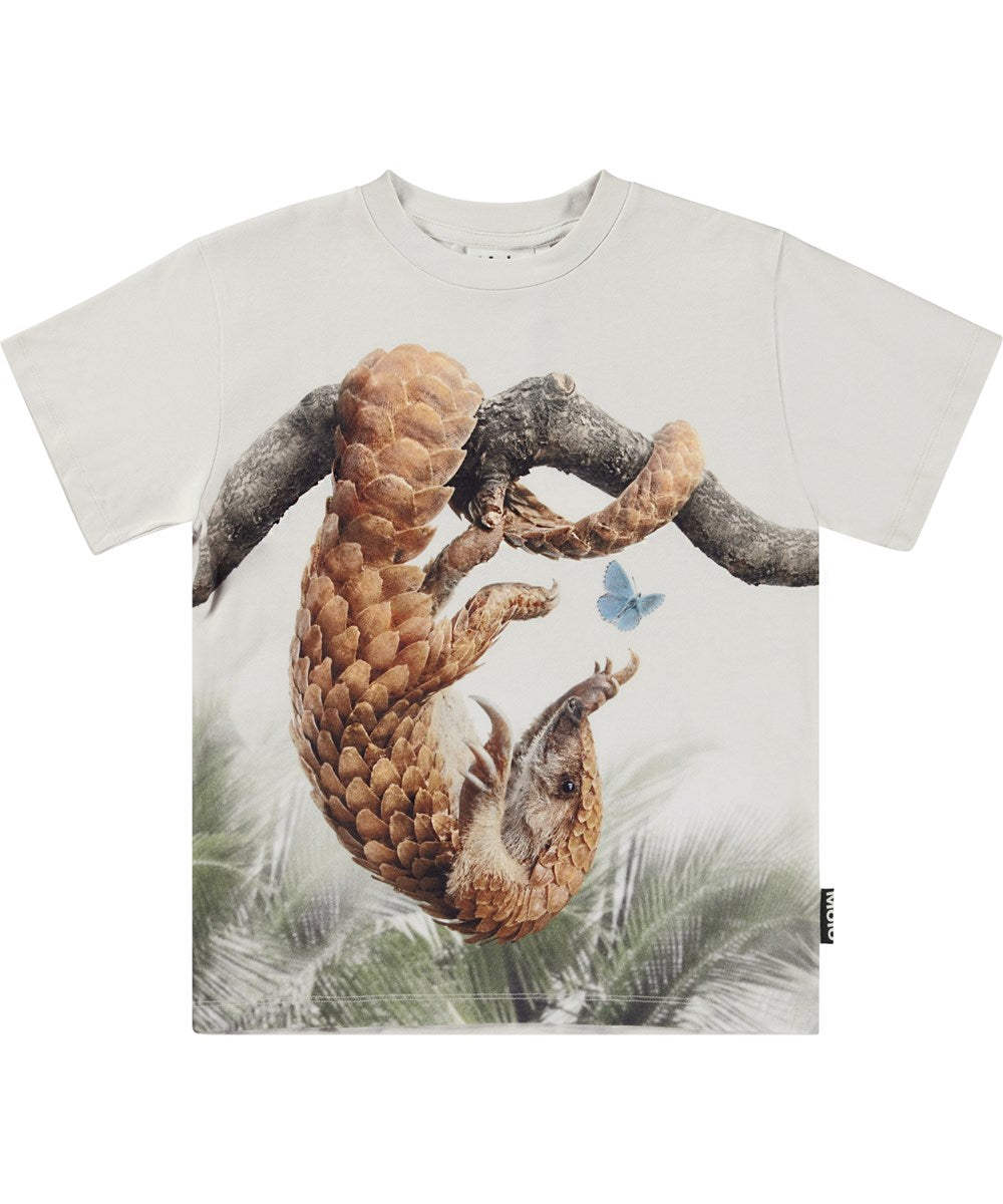 Boy’s t shirt Pangilon