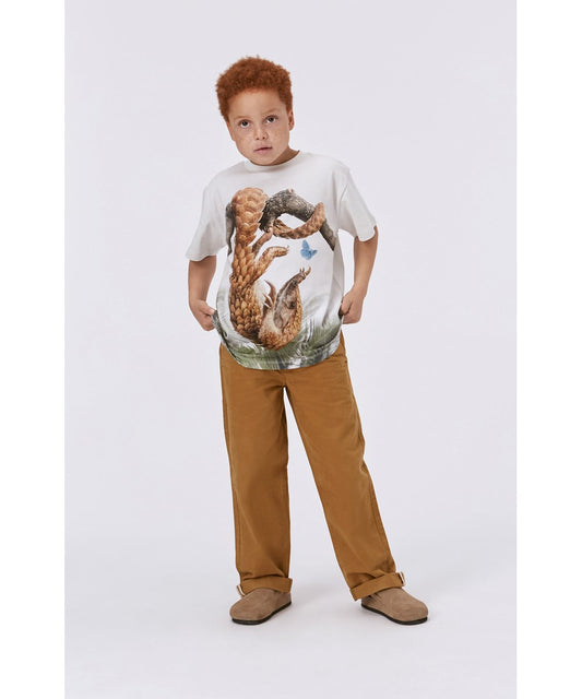 Boy’s t shirt Pangilon