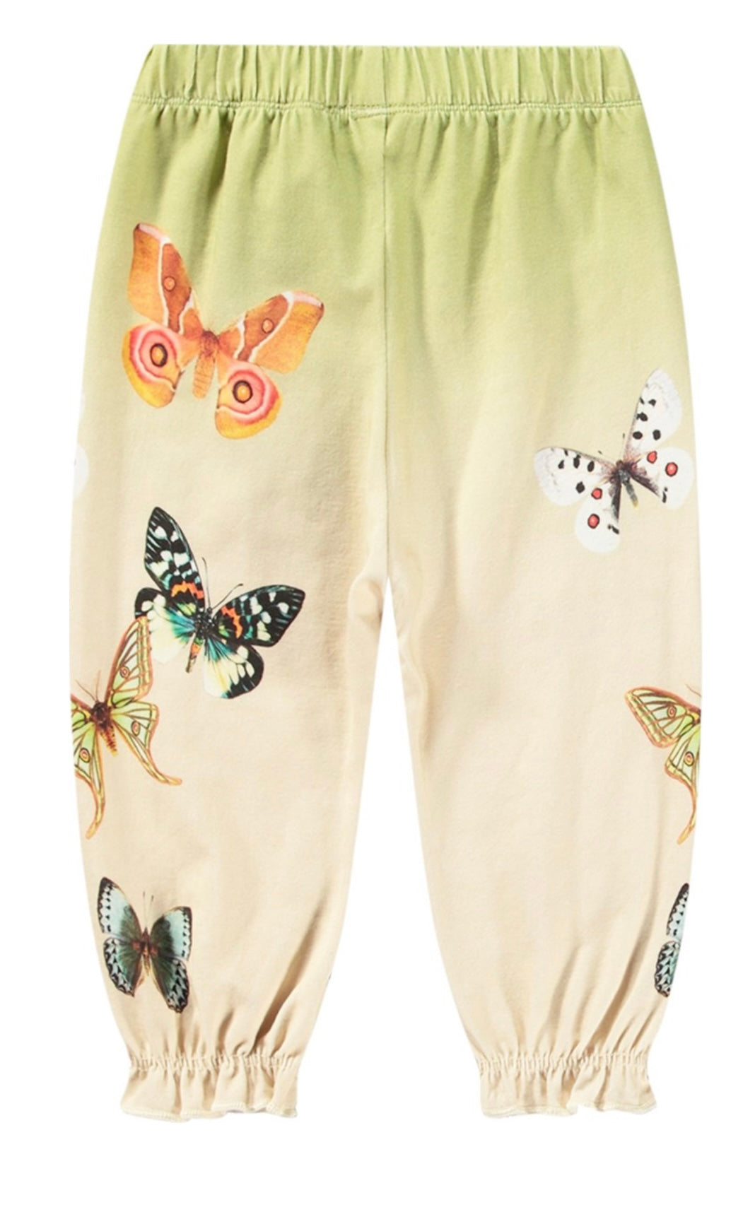 Papillon printed Pants
