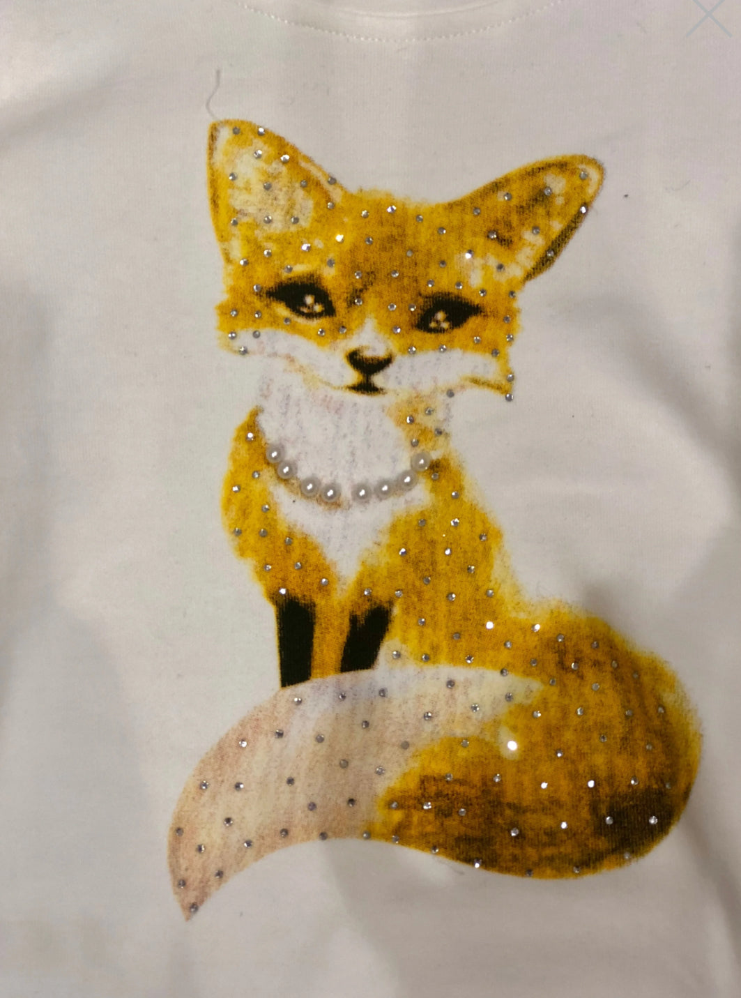 Long Sleeve Shirt with Fox