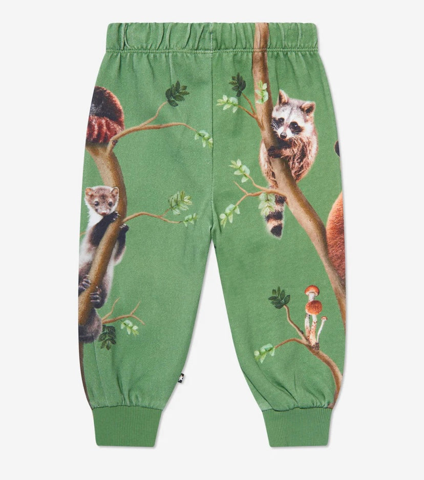 Molo raccoon set