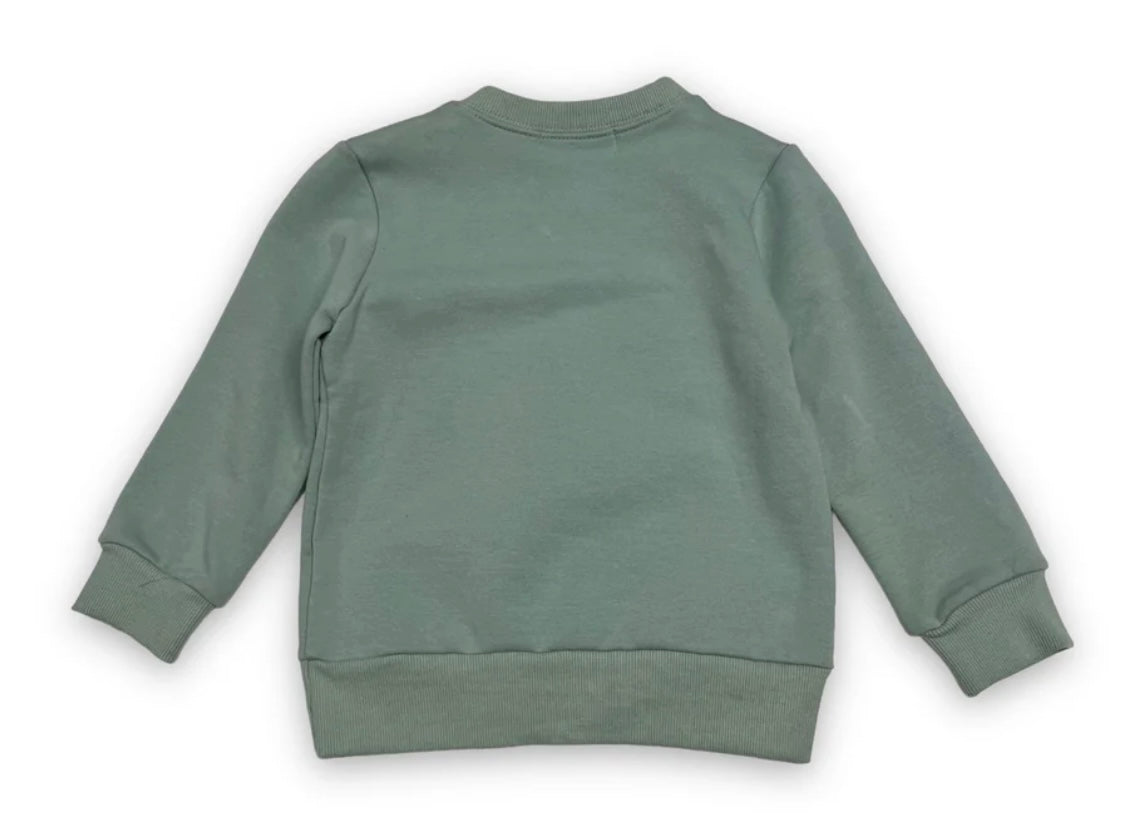 Crew Neck Bunny Glasses Sweatshirt 
Sage