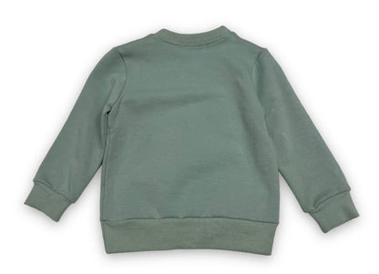 Crew Neck Bunny Glasses Sweatshirt 
Sage