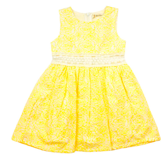 Rose Embroidery Dress