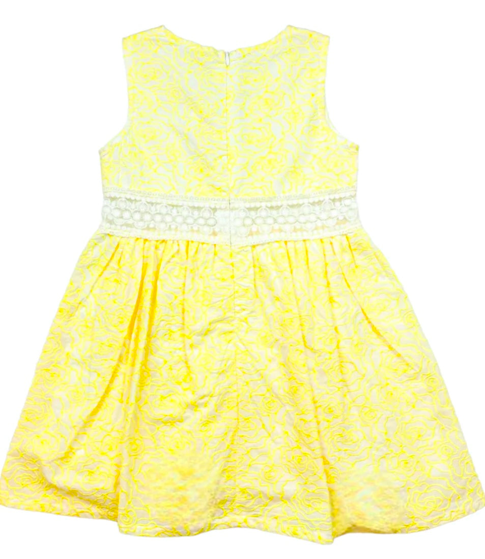 Rose Embroidery Dress