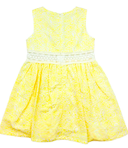 Rose Embroidery Dress