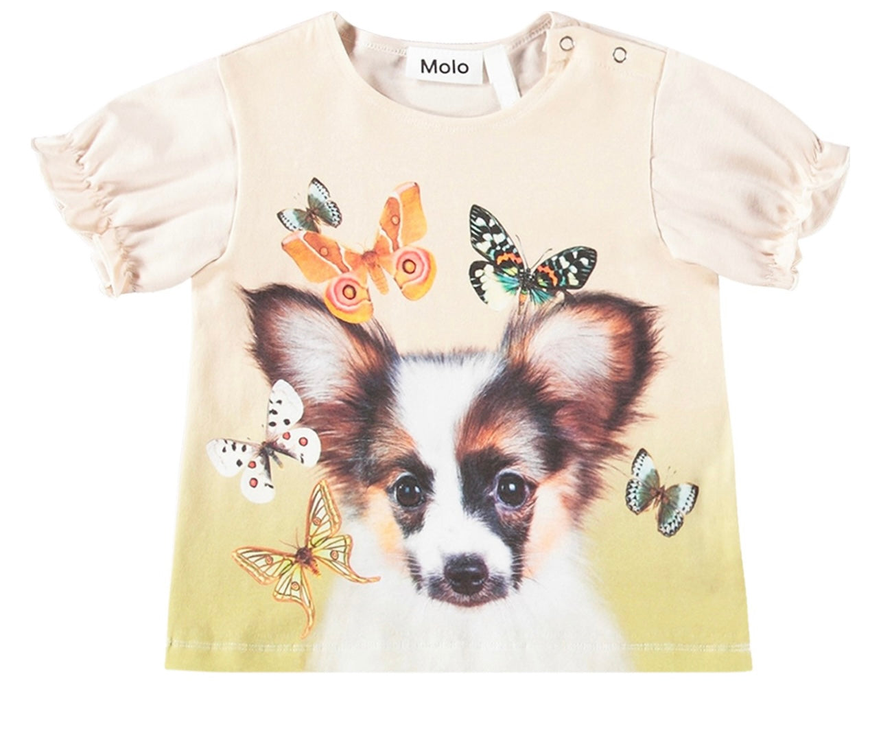 Papillon Puppy printed T-Shirt