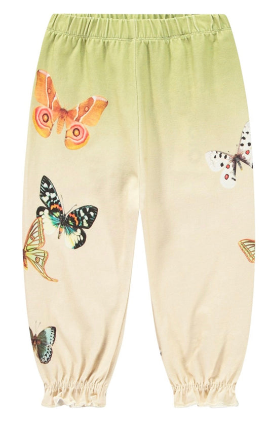Papillon printed Pants