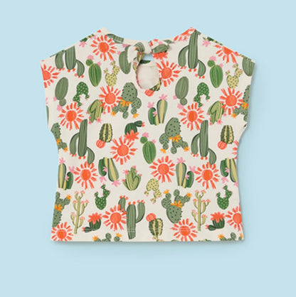 Cactus 3 pcs set