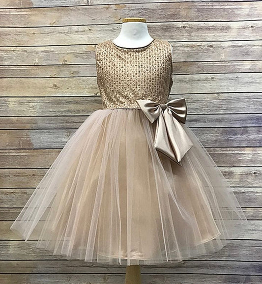 Sequin Dress with Tulle Skirt